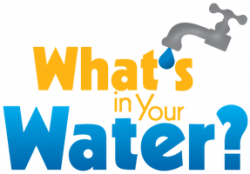 What's In Your Water - Project Plan and Resources - Blue Apple Teacher